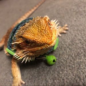 Meet your Posher, Claire